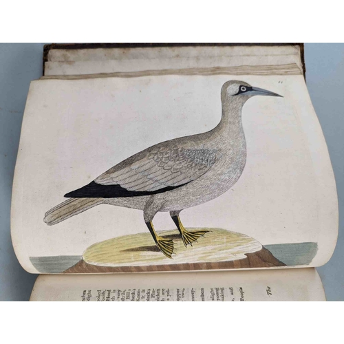 266 - ALBIN, Eleazar. A Natural History of Birds, to which are added, Notes and Observations by W. Derham,... 