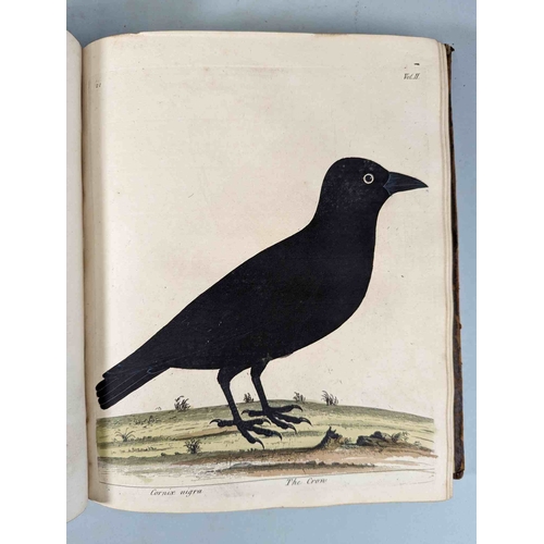 266 - ALBIN, Eleazar. A Natural History of Birds, to which are added, Notes and Observations by W. Derham,... 