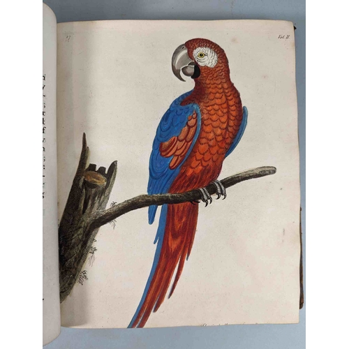 266 - ALBIN, Eleazar. A Natural History of Birds, to which are added, Notes and Observations by W. Derham,... 