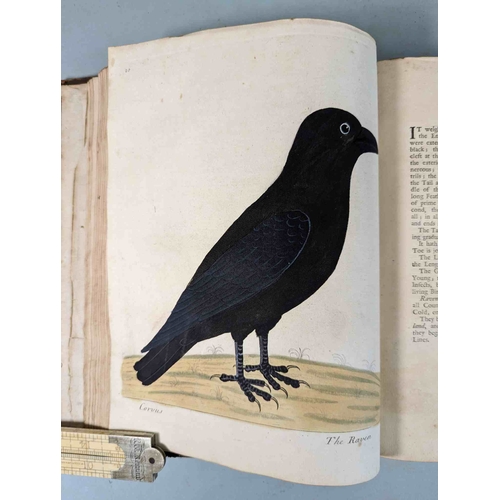 266 - ALBIN, Eleazar. A Natural History of Birds, to which are added, Notes and Observations by W. Derham,... 