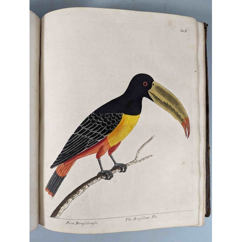 266 - ALBIN, Eleazar. A Natural History of Birds, to which are added, Notes and Observations by W. Derham,... 