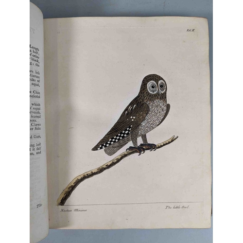 266 - ALBIN, Eleazar. A Natural History of Birds, to which are added, Notes and Observations by W. Derham,... 