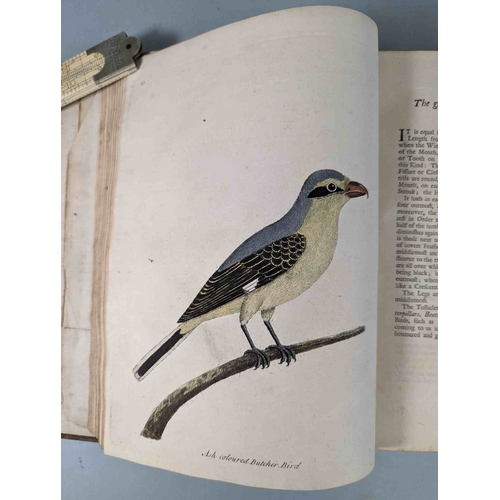 266 - ALBIN, Eleazar. A Natural History of Birds, to which are added, Notes and Observations by W. Derham,... 