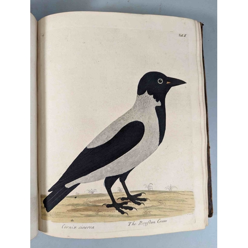 266 - ALBIN, Eleazar. A Natural History of Birds, to which are added, Notes and Observations by W. Derham,... 