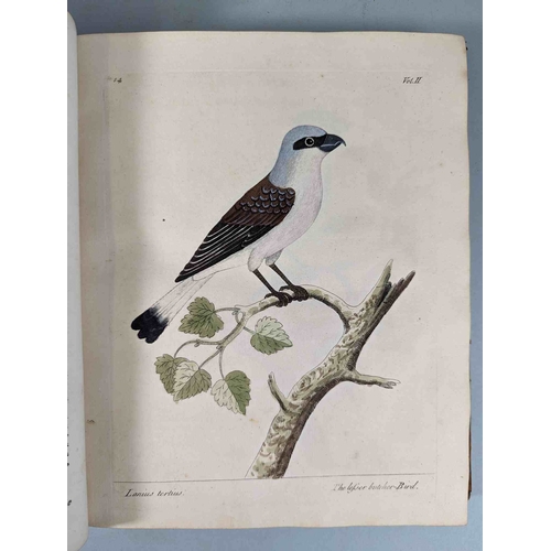 266 - ALBIN, Eleazar. A Natural History of Birds, to which are added, Notes and Observations by W. Derham,... 