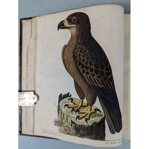 266 - ALBIN, Eleazar. A Natural History of Birds, to which are added, Notes and Observations by W. Derham,... 