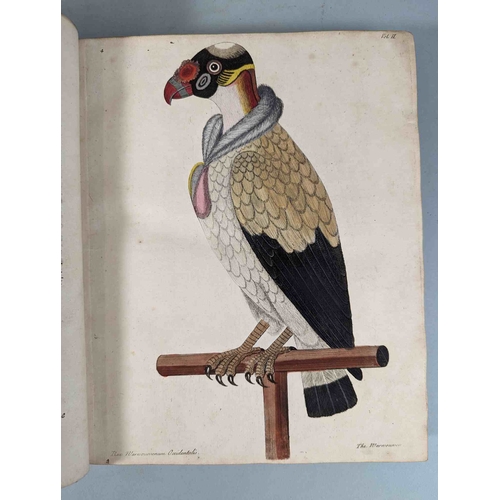 266 - ALBIN, Eleazar. A Natural History of Birds, to which are added, Notes and Observations by W. Derham,... 