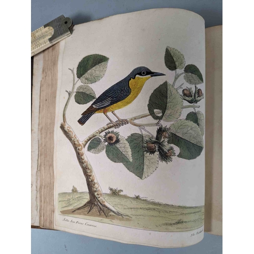 266 - ALBIN, Eleazar. A Natural History of Birds, to which are added, Notes and Observations by W. Derham,... 