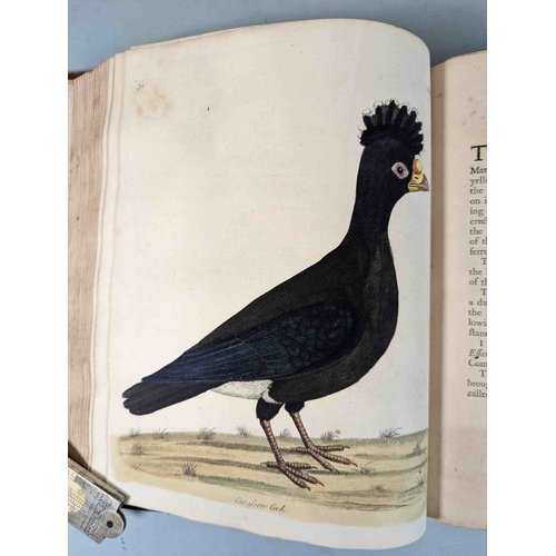 266 - ALBIN, Eleazar. A Natural History of Birds, to which are added, Notes and Observations by W. Derham,... 