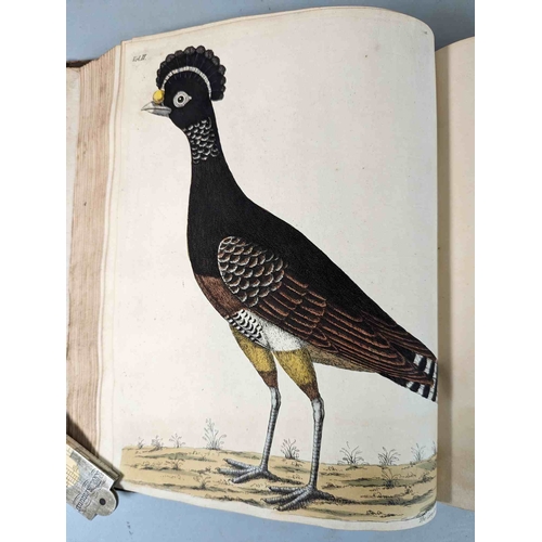 266 - ALBIN, Eleazar. A Natural History of Birds, to which are added, Notes and Observations by W. Derham,... 