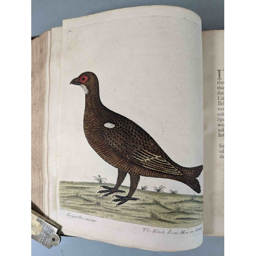 266 - ALBIN, Eleazar. A Natural History of Birds, to which are added, Notes and Observations by W. Derham,... 