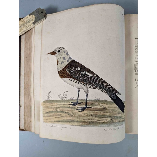 266 - ALBIN, Eleazar. A Natural History of Birds, to which are added, Notes and Observations by W. Derham,... 