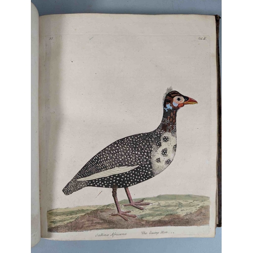 266 - ALBIN, Eleazar. A Natural History of Birds, to which are added, Notes and Observations by W. Derham,... 