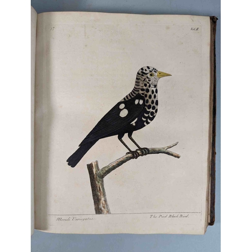 266 - ALBIN, Eleazar. A Natural History of Birds, to which are added, Notes and Observations by W. Derham,... 