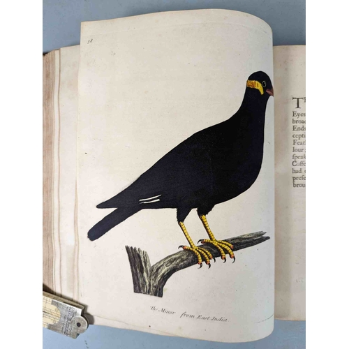 266 - ALBIN, Eleazar. A Natural History of Birds, to which are added, Notes and Observations by W. Derham,... 