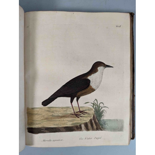 266 - ALBIN, Eleazar. A Natural History of Birds, to which are added, Notes and Observations by W. Derham,... 