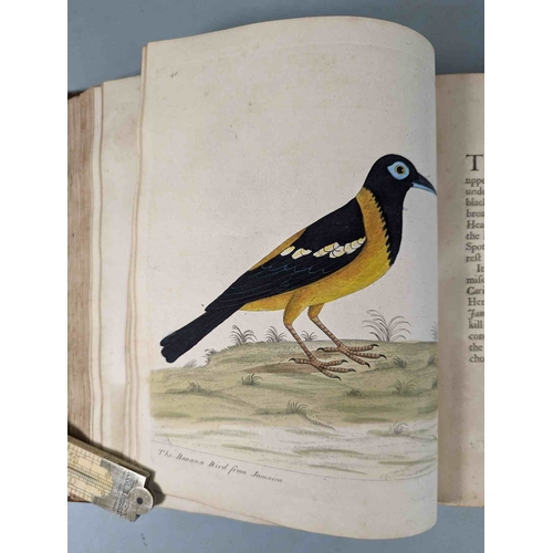 266 - ALBIN, Eleazar. A Natural History of Birds, to which are added, Notes and Observations by W. Derham,... 