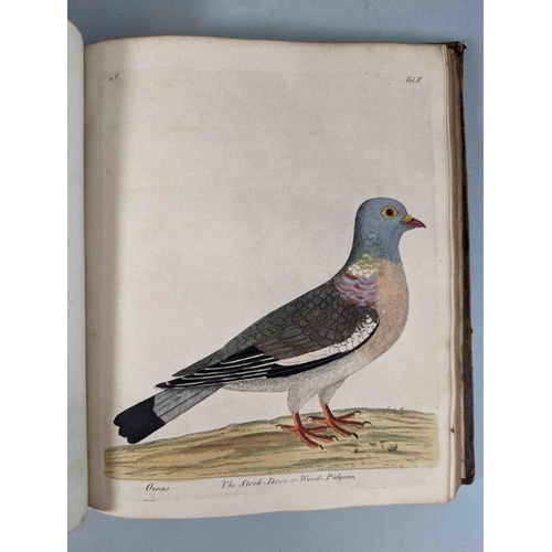 266 - ALBIN, Eleazar. A Natural History of Birds, to which are added, Notes and Observations by W. Derham,... 