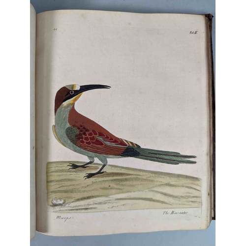 266 - ALBIN, Eleazar. A Natural History of Birds, to which are added, Notes and Observations by W. Derham,... 