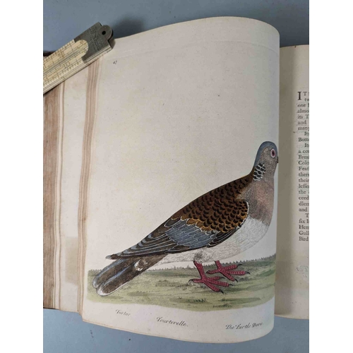 266 - ALBIN, Eleazar. A Natural History of Birds, to which are added, Notes and Observations by W. Derham,... 