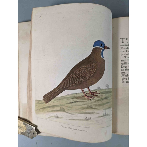 266 - ALBIN, Eleazar. A Natural History of Birds, to which are added, Notes and Observations by W. Derham,... 