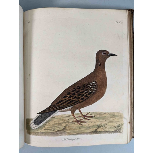 266 - ALBIN, Eleazar. A Natural History of Birds, to which are added, Notes and Observations by W. Derham,... 