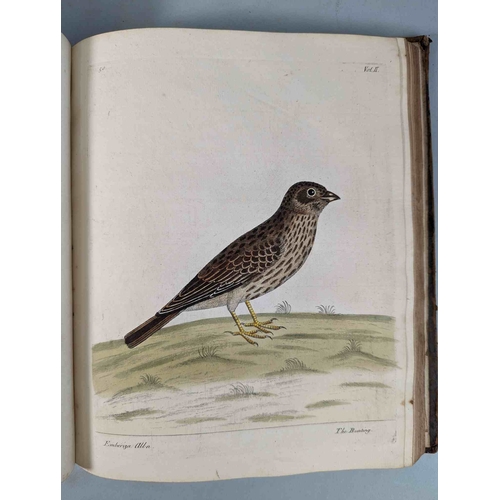 266 - ALBIN, Eleazar. A Natural History of Birds, to which are added, Notes and Observations by W. Derham,... 