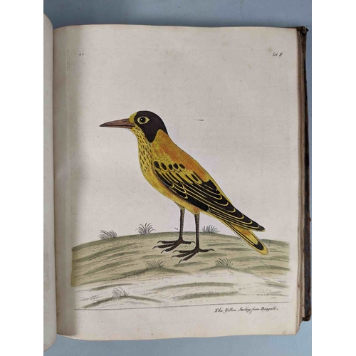 266 - ALBIN, Eleazar. A Natural History of Birds, to which are added, Notes and Observations by W. Derham,... 