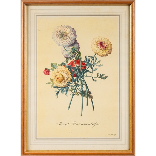 14 - A collection of twelve prints of botanical and vegetable studies, the largest  44 x 30cm (12)