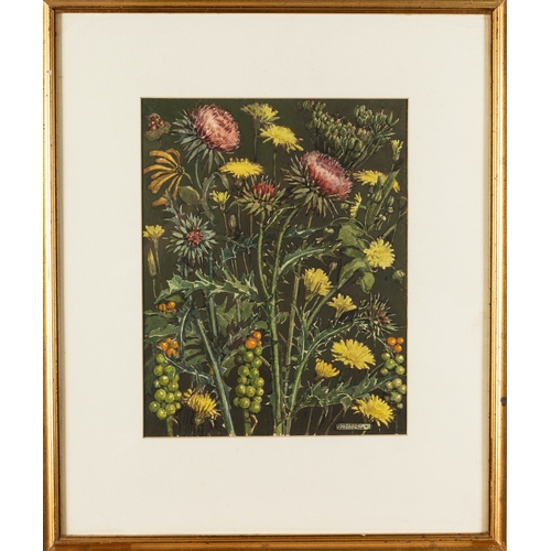 155 - Four still lief pictures, one by Margaret Patterson (British, 20th Century) - Flower studies - Two w... 