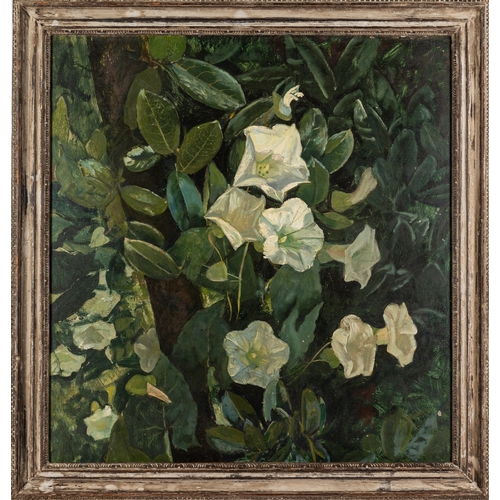 157 - Five flower studies, one by G. Bordewich (20th Century) - Summer bouquet - Oil on board - 60 x 48.5c... 