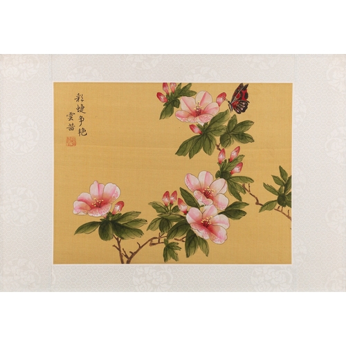 18 - Chinese School, 19th Century - Twelve watercolours on silk of flowers, some with birds and butterfli... 