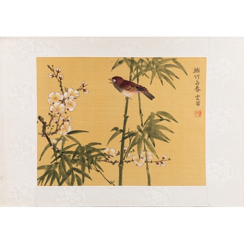 18 - Chinese School, 19th Century - Twelve watercolours on silk of flowers, some with birds and butterfli... 