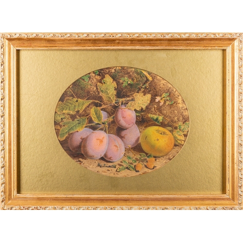 2 - A collection of eleven colour prints, a watercolour and an oil on panel of still lifes and studies o... 