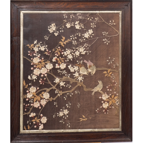 327 - An early 20th century needlwork of birds amongst blossom, framed and glazed, 60cm x 49cm.