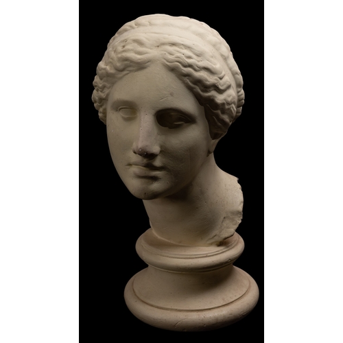 342 - A plaster model of the head of the Venus de Milo, after the Antique, 20th century, on circular socle... 