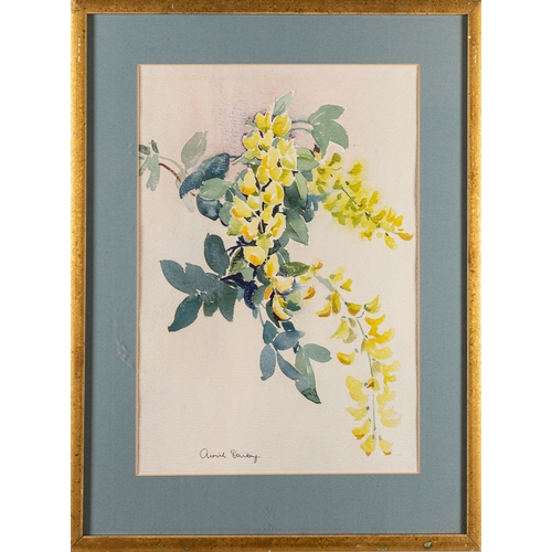 156 - Four flower studies, one by Ernest Rose (British, 20th Century) - The flowering garden - Watercolour... 