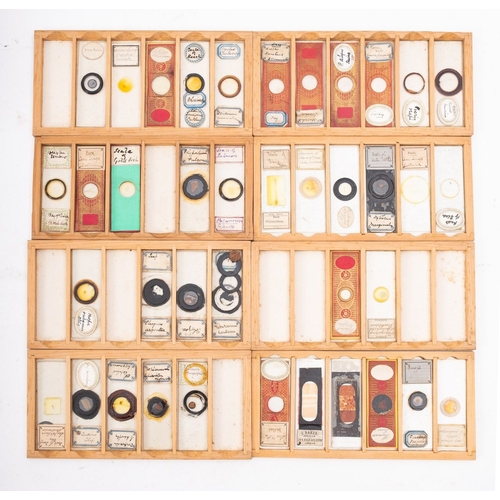 290A - Three boxes of late 19th/early 20th century microscope slides, comprising entomological, floral and ... 