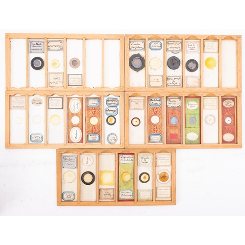 290A - Three boxes of late 19th/early 20th century microscope slides, comprising entomological, floral and ... 