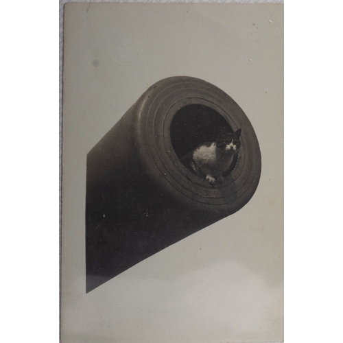 361 - A good collection of early 20th century Royal Navy and maritime postcards and photographs, comprisin... 