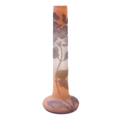 Lot 25        