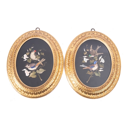 326 - A pair of Italian oval pietre dure panels depicting birds, circa 1900, with gilt moulding frames; 29... 