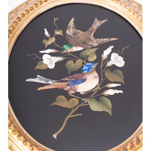 326 - A pair of Italian oval pietre dure panels depicting birds, circa 1900, with gilt moulding frames; 29... 