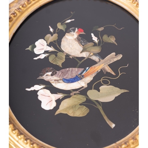 326 - A pair of Italian oval pietre dure panels depicting birds, circa 1900, with gilt moulding frames; 29... 