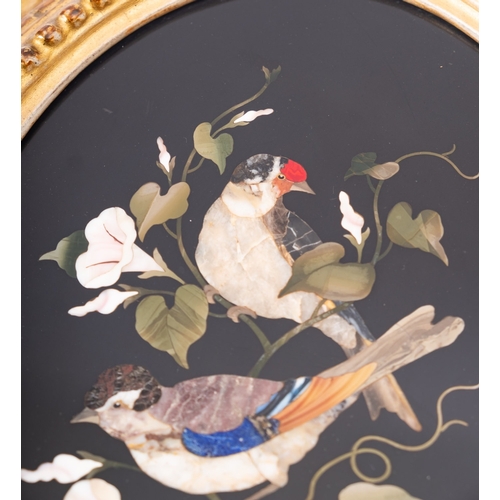 326 - A pair of Italian oval pietre dure panels depicting birds, circa 1900, with gilt moulding frames; 29... 