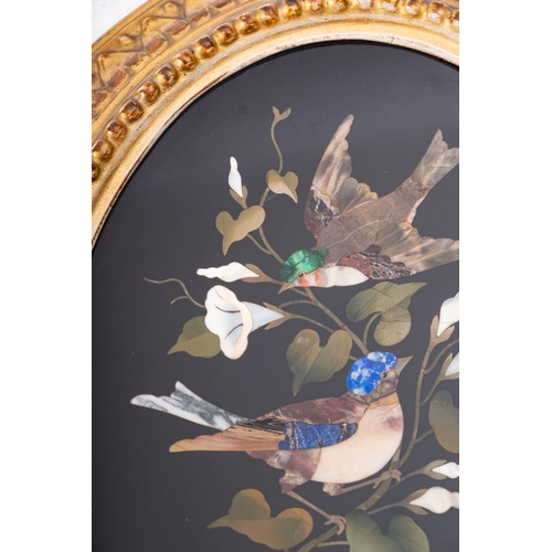 326 - A pair of Italian oval pietre dure panels depicting birds, circa 1900, with gilt moulding frames; 29... 