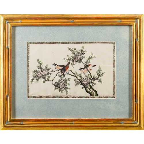 339 - A set of four Chinese pith paper paintings of exotic birds Qing Dynasty, 21 x 33cm [minor damage] fr... 