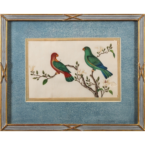 340 - A set of six Chinese pith paper paintings of exotic birds Qing Dynasty, 16 x 25cm [some damage] fram... 