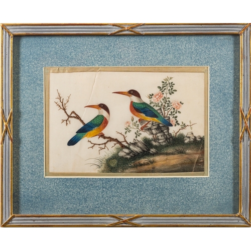 340 - A set of six Chinese pith paper paintings of exotic birds Qing Dynasty, 16 x 25cm [some damage] fram... 