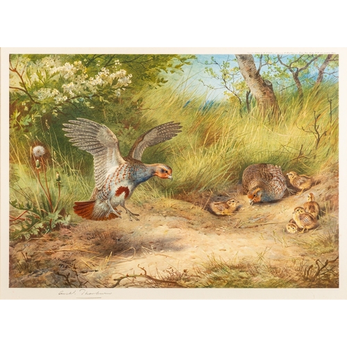 573 - After Archibald Thorburn Partridge - Spring - Colour printed lithograph - 32.5 x 45cm - 52 x 66.5cm ... 